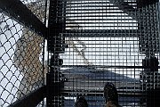 208_Schladming_2015_199_Dachstein