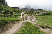 Schladming_AltersWG_TestWE_203a