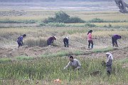 1193m_vn2014_1194_ch