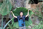 1199m_vn2014_1201_ch_BaBe_NP